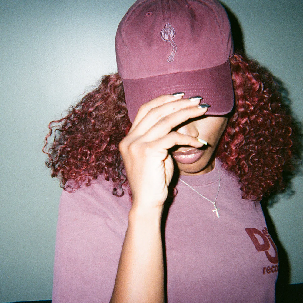 Def Jam Hat - Maroon - Image 5